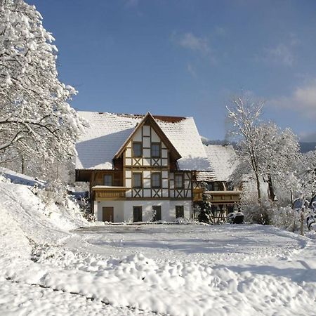 Baeuerlehof Hotel Seebach Buitenkant foto