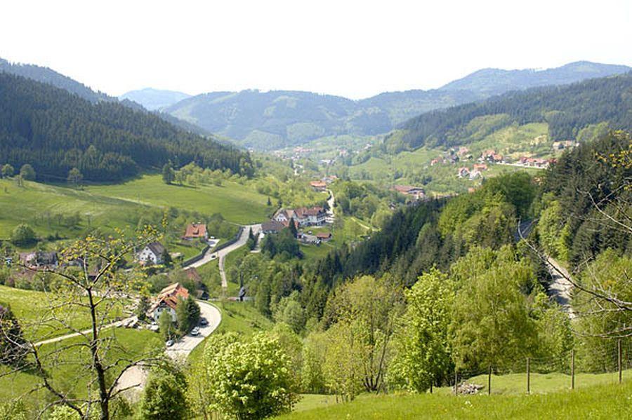 Baeuerlehof Hotel Seebach Buitenkant foto