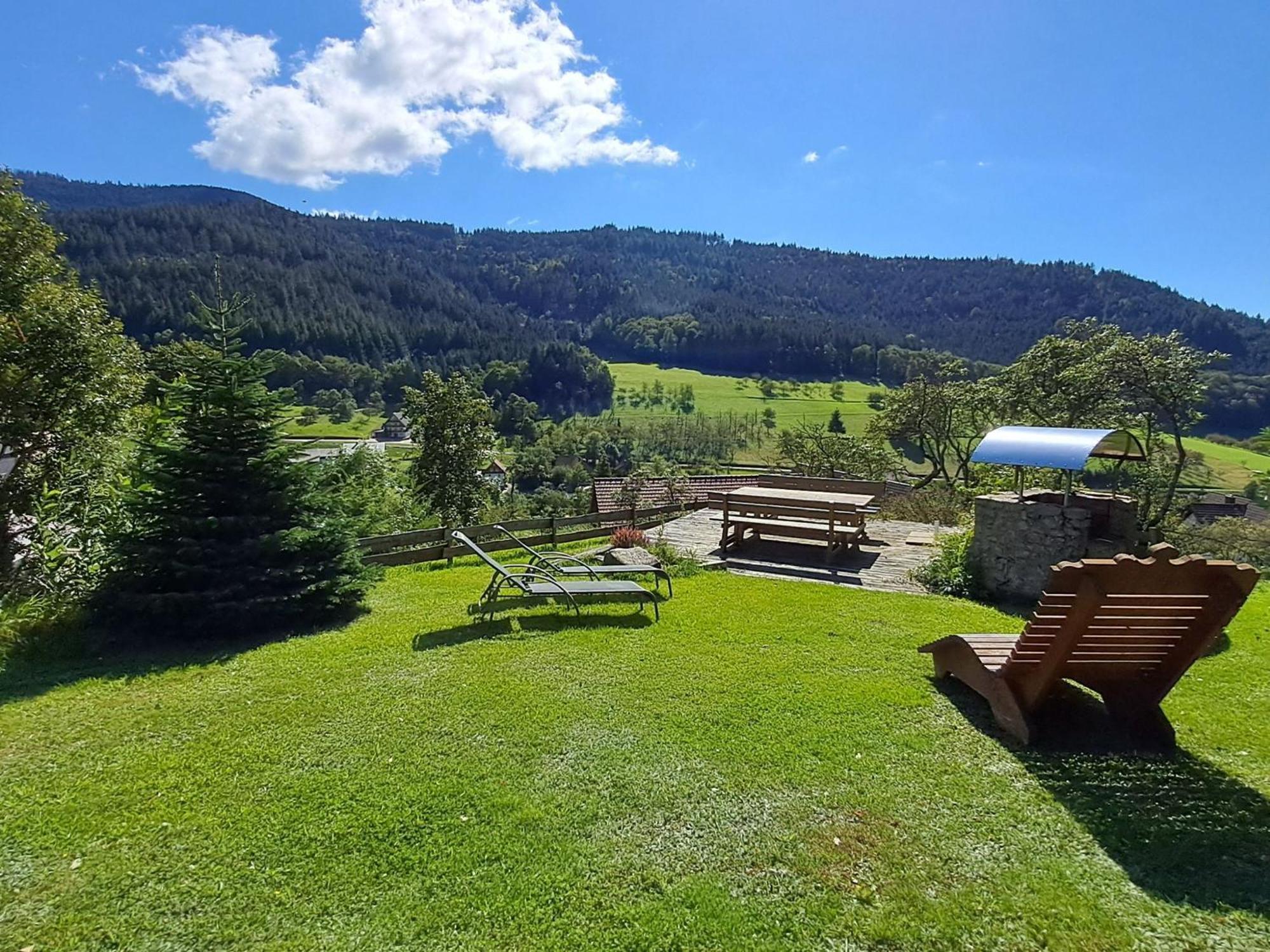 Baeuerlehof Hotel Seebach Buitenkant foto