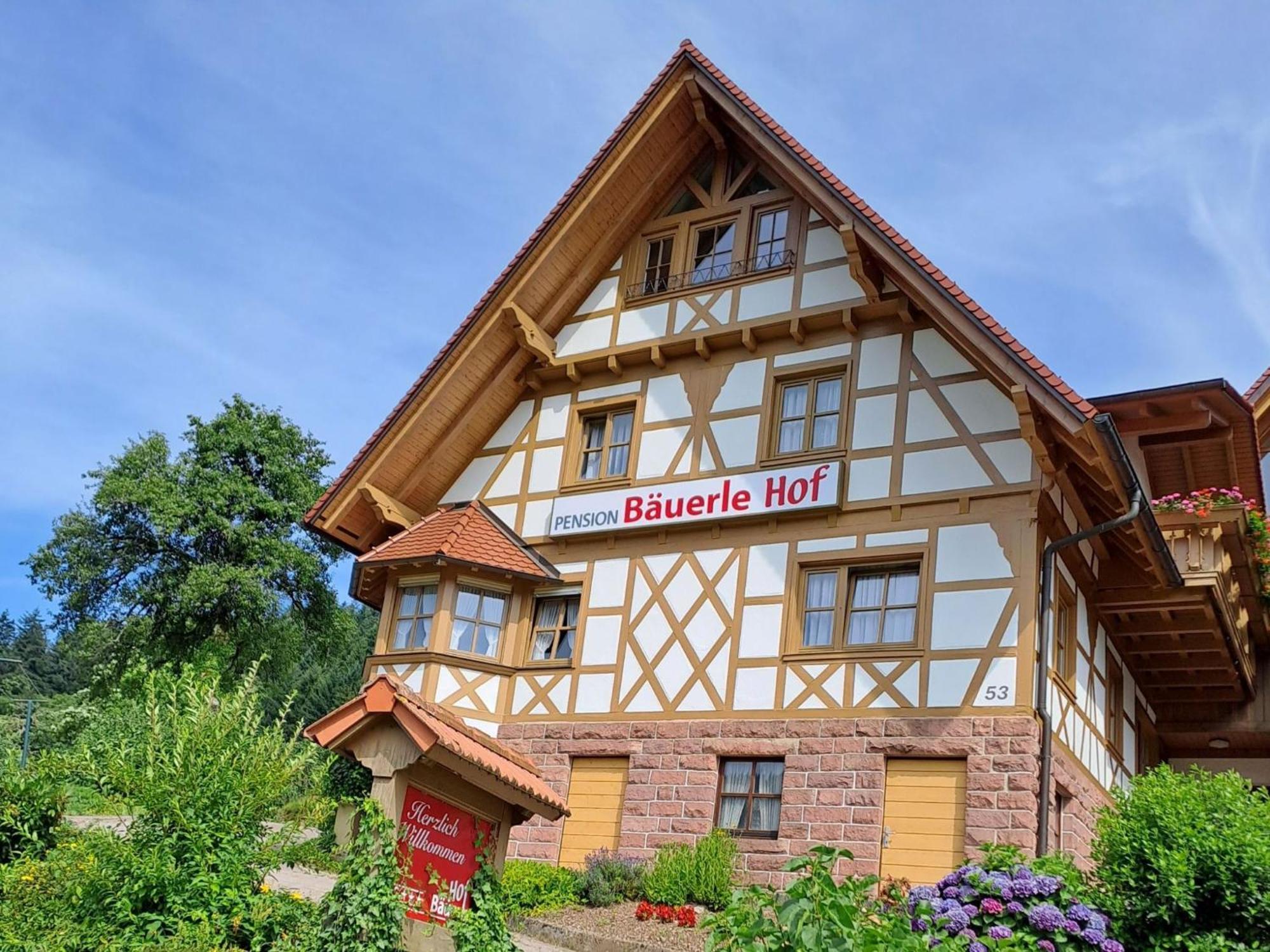 Baeuerlehof Hotel Seebach Buitenkant foto