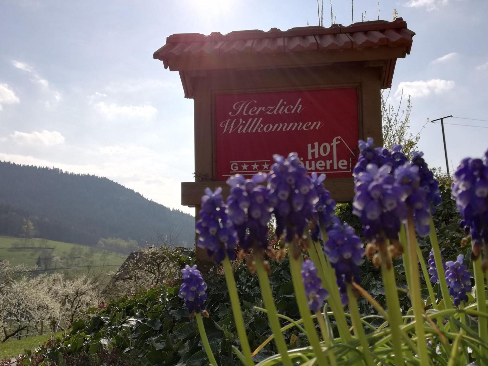 Baeuerlehof Hotel Seebach Buitenkant foto