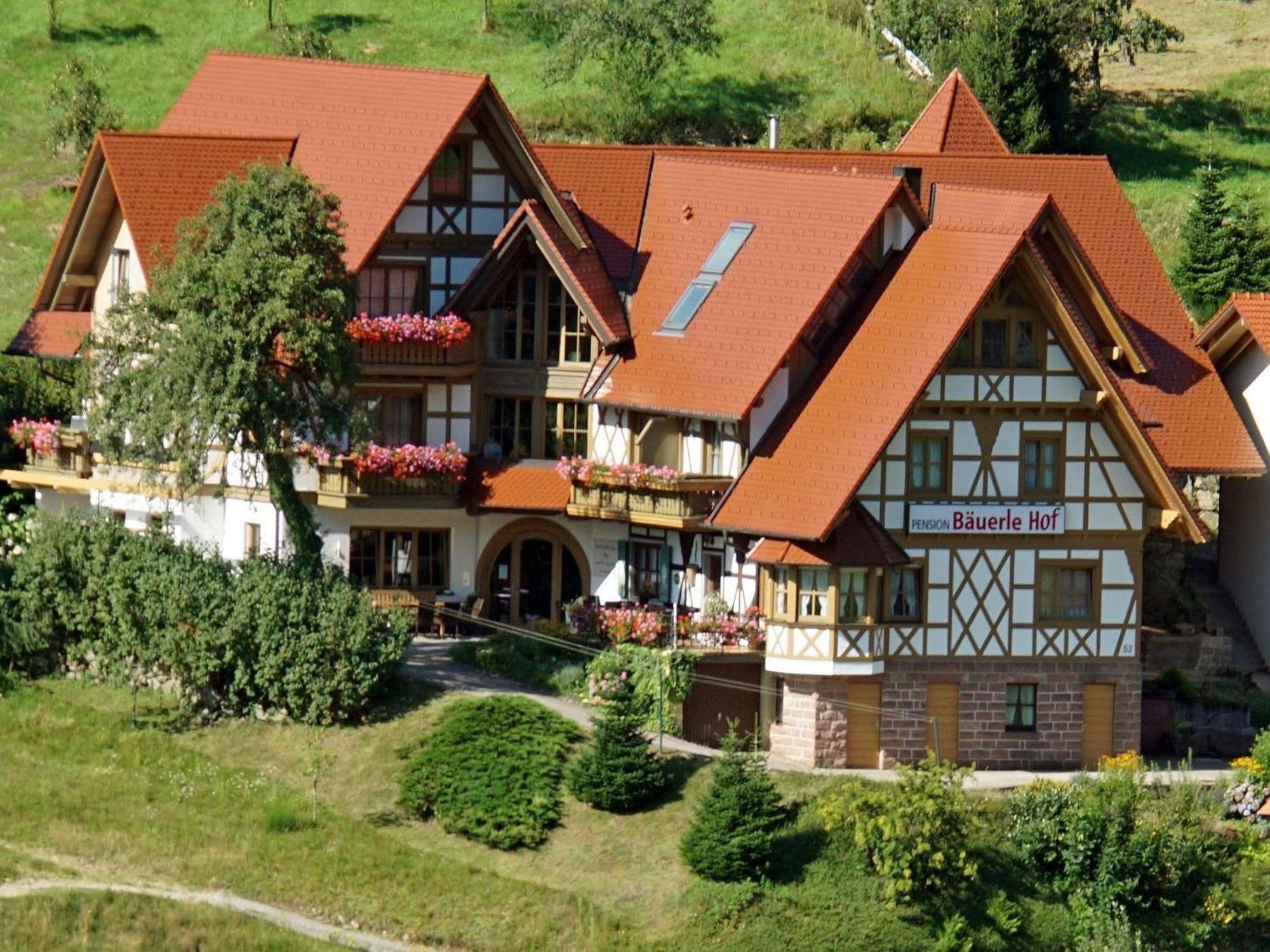 Baeuerlehof Hotel Seebach Buitenkant foto